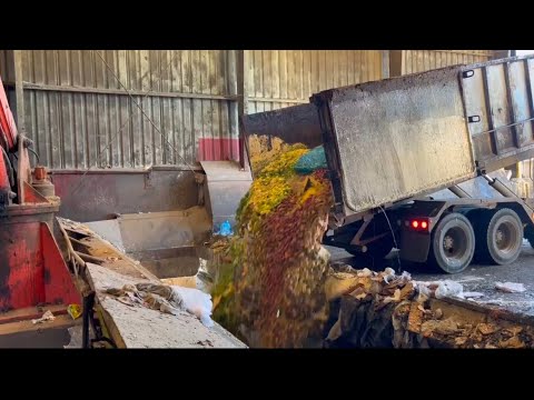 Ultimate Potato Salad Dumping Montage | Oddly Satisfying Chaos at the Transfer Station (PG version)