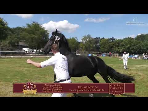 Fokdag | DFZ Papenburg 2 | 10 augustus 2024