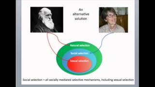 Cornell Lab - Social Selection & the Evolution of Ornaments