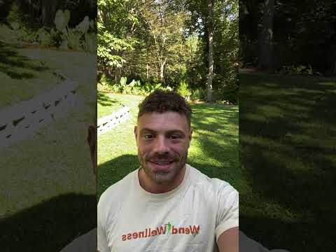 What's The Deal Between Carbs & Muscle Growth