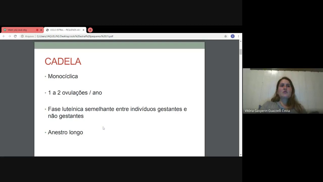 Ciclo estral pequenos animais