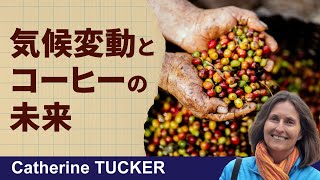 コーヒー × サステナビリティ × 気候変動（2025年7月30日）