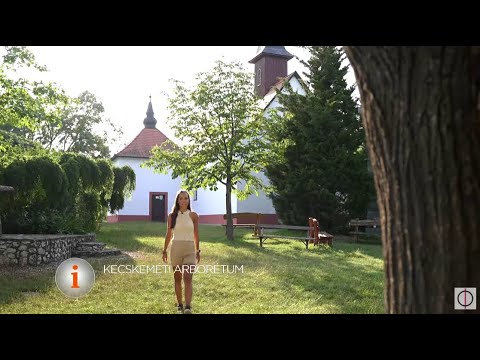 Nyaralj itthon! - Kecskemét