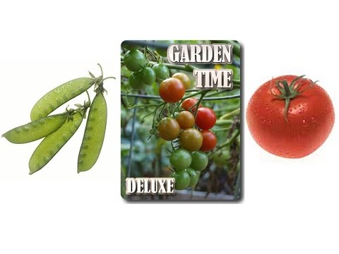 Garden Time (Freedom) Video