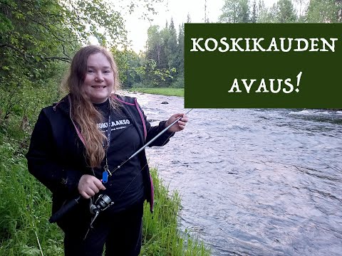 KORVUA-NÄLJÄNKÄJOKI: HARJUSTA NARRAAMASSA - KOSKIKALASTUSKAUDEN AVAUS