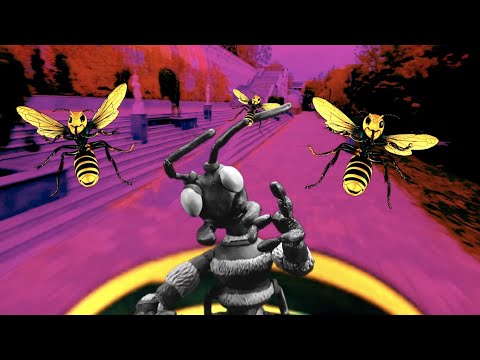 Flight Of The Murder Hornet