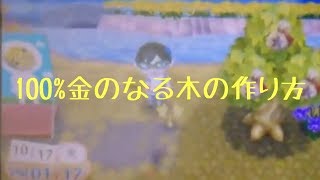 【とび森】チートなしで確実に金のなる木を作る方法
