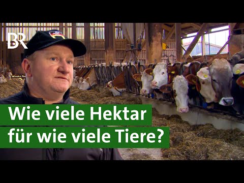 Flächenbindung: Wie viele Tiere, wie viele Hektar? | Unser Land | BR Fernsehen