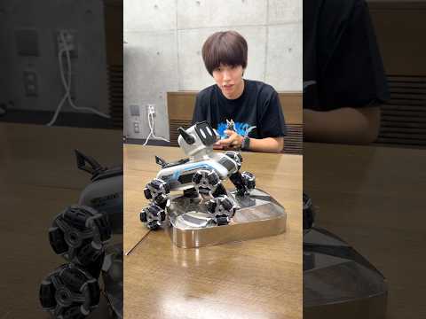 誰だよこのイヌのロボット作ったヤツwwwww