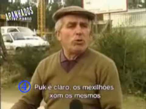 Selecção de apanhados