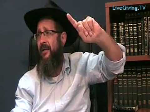 Rav Dynovisz : Tes chutes révélent ta Grandeur !