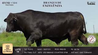 LOTE 16  TE3113