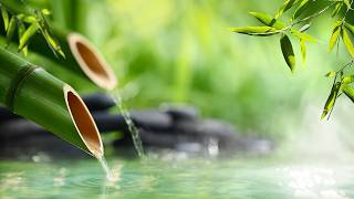 Relaxing Sleep Music + Insomnia: Bamboo, Stress Relief, Deep Sleep, Relax & Therapy Music 🌿