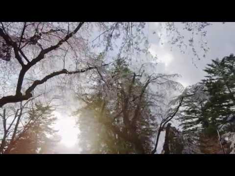 AKITA JAPAN （春） 角館武家屋敷