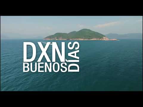 Canción DXN - Buenos Días DXN (Liric Video)