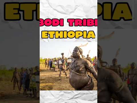 Why the Bodi Tribe Drinks Blood and Milk for 6 Months #shortvideo #shorts  #uniquefact