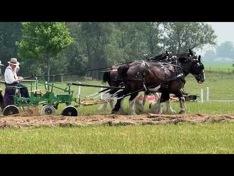 Horse Progress Days 2023 Practice Day