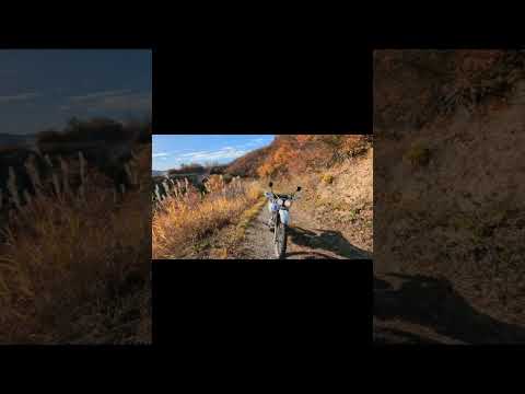 Uma estrada madeireira com uma boa visão teve que fazer meia-volta durante o trabalho...uma pena.