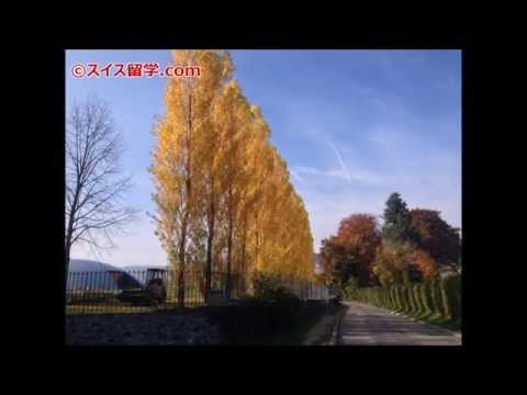 子供留学：ル・ロゼ～小学校中学年の寮・施設【スイス留学.com】