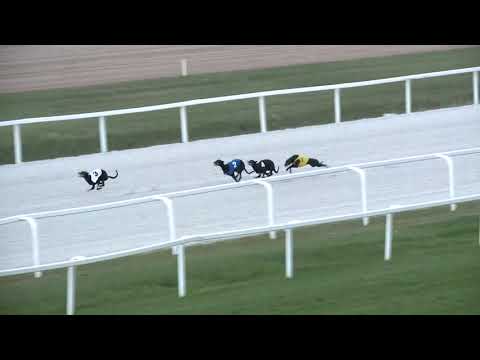 2018.09.28. agár futam