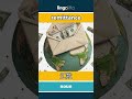 remittance - 汇款 video thumbnail