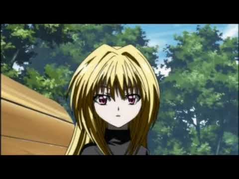 Black Cat Review 4460950