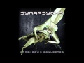 Synapsyche - Control-[Ex]Alt-Delete 