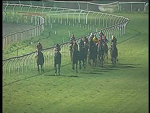 Galoppo 27/01/2018 - 8ª corsa - TRIS