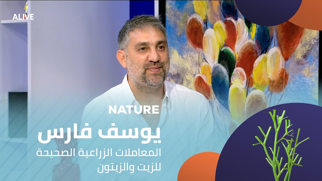 Nature - 11/11/2025 - يوسف فارس - المعاملات الزراعية الصحيحة للزيت والزيتون