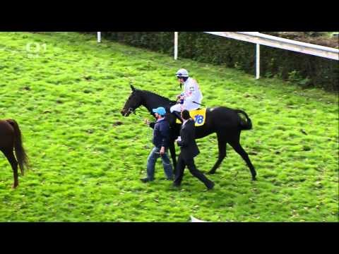 Rozhovor po Velké-Jan Faltejsek