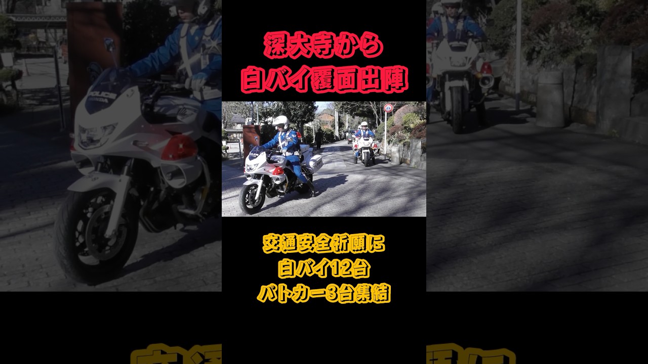 【白バイ】深大寺から大量の白バイと覆面パトカーが出陣！