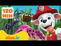 PAW Patrol Bug Rescues Adventures 2 Hours Nick Jr