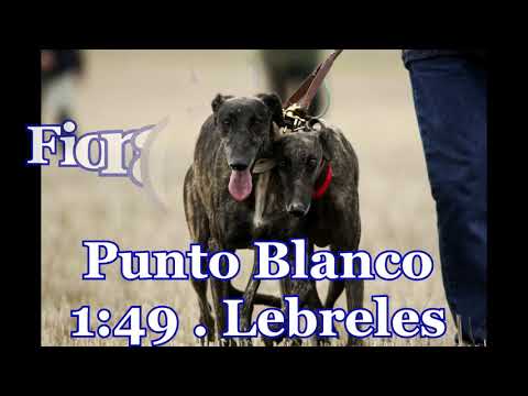 Acotado Torres de La Alameda