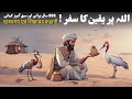 Allah Par Yaqeen Islamic Stories Urdu Moral Stories Believe On Allah Purane Qisse