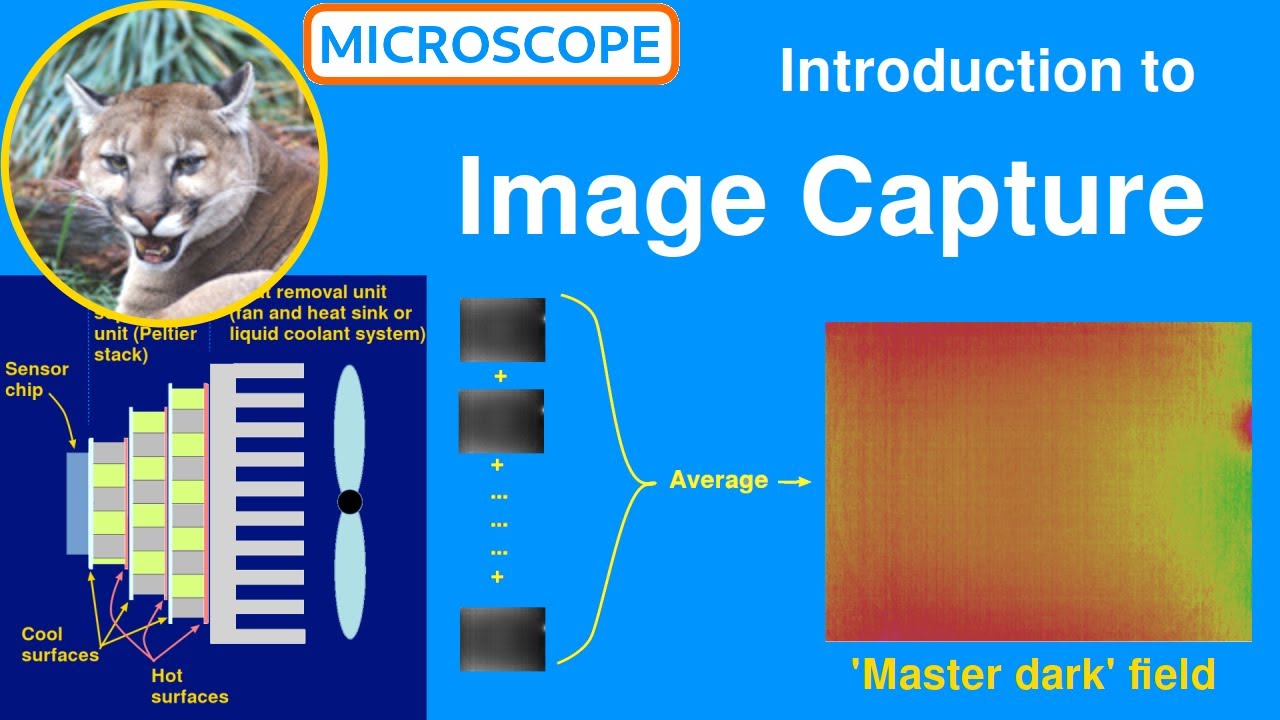 Image capture for scientific processing in microscopy - an introduction