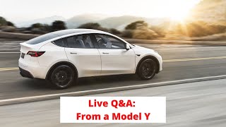 Model Y Live Q&A