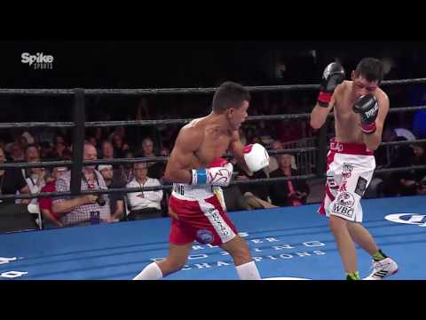 Lara vs. Foreman & Dirrell vs. Nemesapati Highlights - PBC on Spike