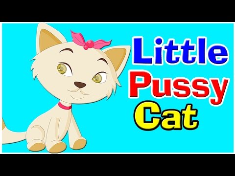 I Love Little Pussy Song - Nursery Rhyme I English Rhymes For Babies | Kids Songs | Poem For Kids