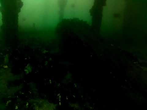 Edithburgh Live by AusOcean 23/05/2023