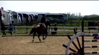 Video koně Balouetta