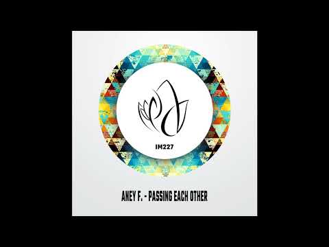 Aney F. - Passing Each Other [IM227]