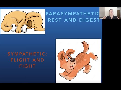 Stress and Stellate Ganglion Blocks