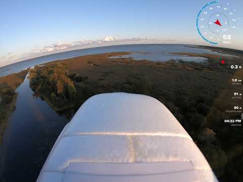 avios-bushmule-on-floats