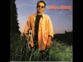 Something Wild - John Hiatt