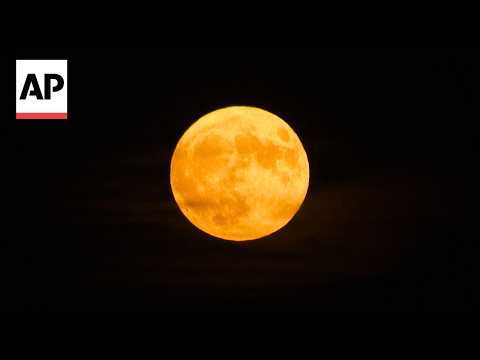 WATCH: Strawberry moon rises over Vienna