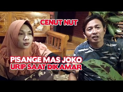 pisang-mas-joko-cenut-nut-unik-bisa-urip-di-dalam-kamar