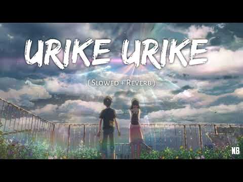 Urike Urike ✨ ( Slowed + Reverb ) || NB VIDS