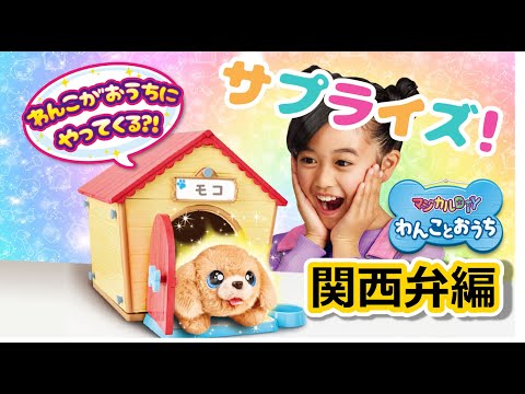 マジカルDIY わんことおうち　なんや！わんこがやってきたで！　PV 関西弁編