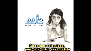 Eels - Mental (Subtitulada en Español)