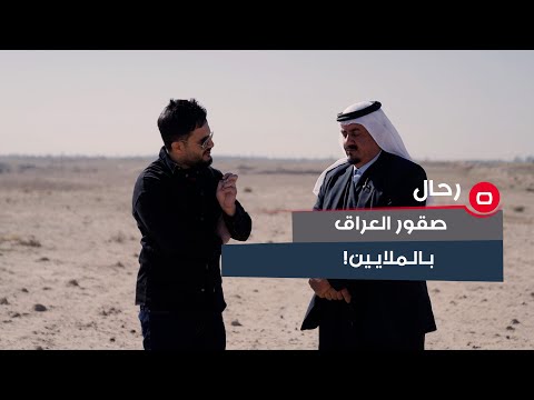 شاهد بالفيديو.. تصل مبالغها الى ملايين الدنانير.. انواع الصقور ومواصفاتها في العراق